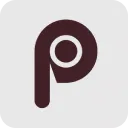 Perplexity to Notion